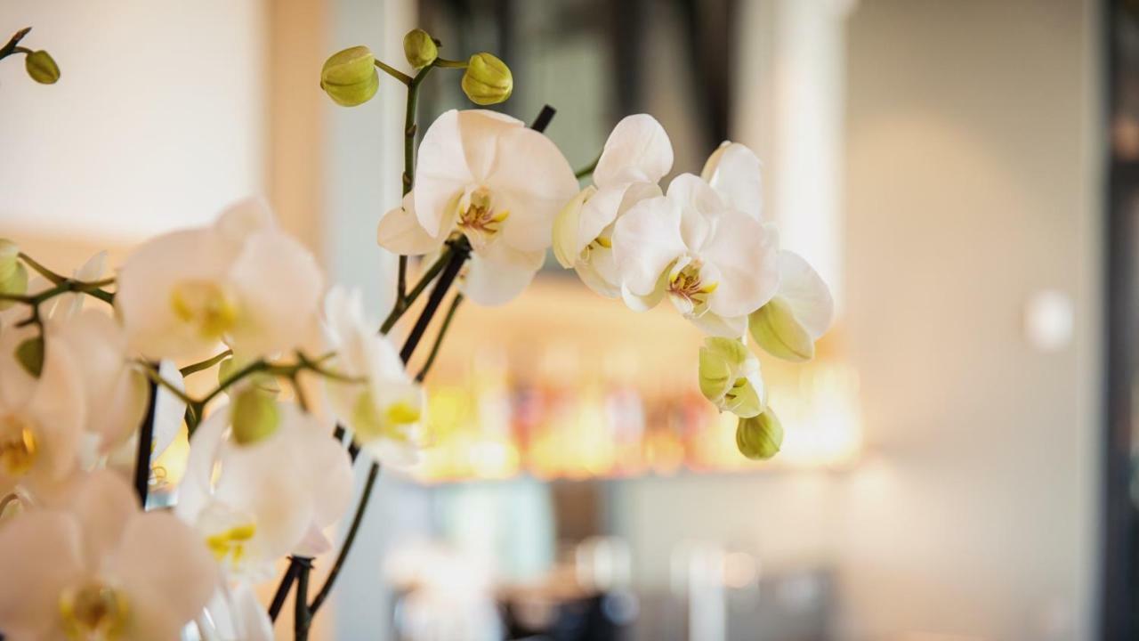 Heuboden Hotel Heu.Loft Freiburg ウムキルヒ エクステリア 写真